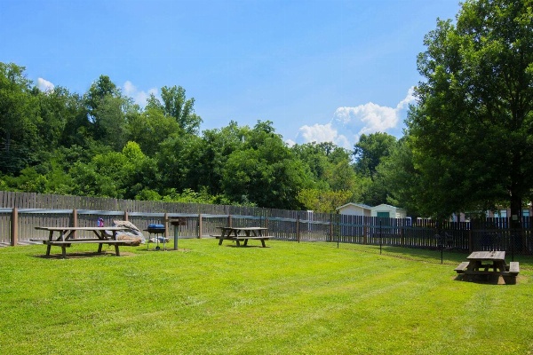 Microtel Inn & Suites By Wyndham Cherokee image 4